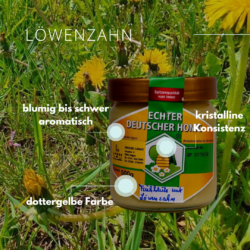 Frühblütenhonig mit Löwenzahn – Bild 3