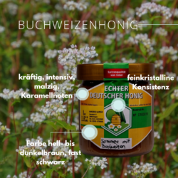 Sommerhonig mit Buchweizen – Bild 3